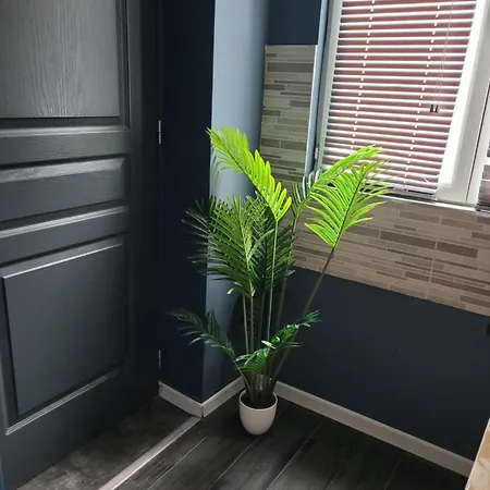 De 4 Proche De Lille Vakantiehuis